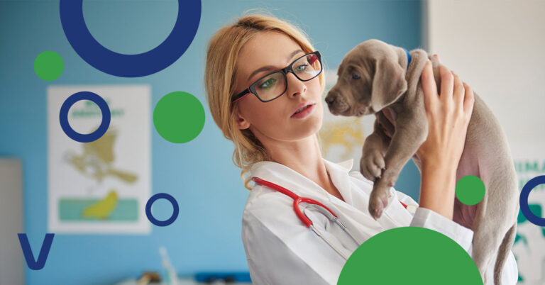 Gestión de Residuos Médicos Veterinarios
